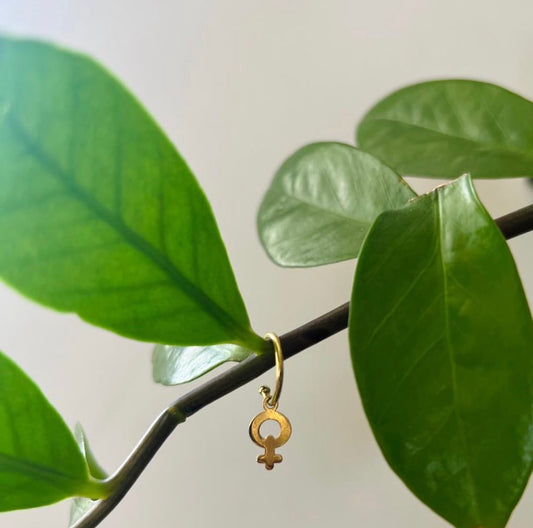 Orecchini Equonomics