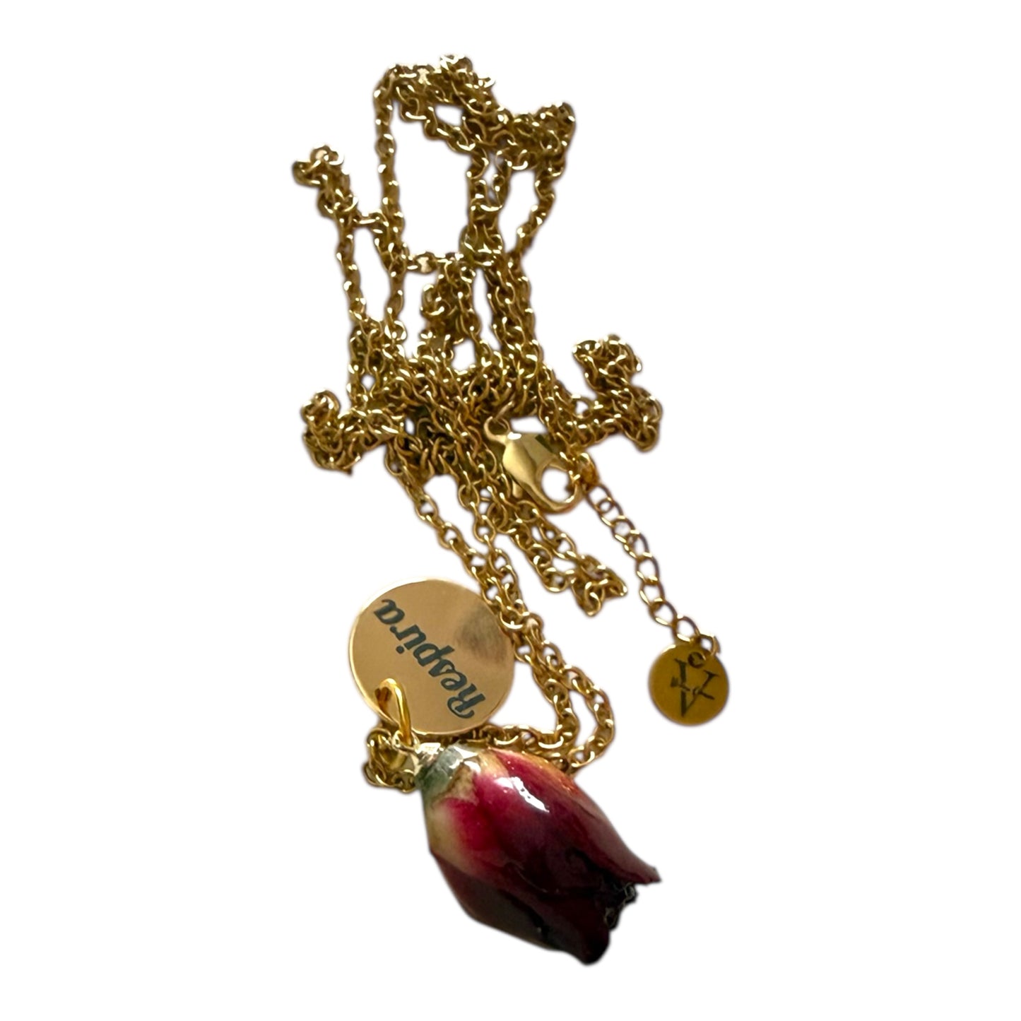 Collana “AETERNA”